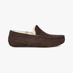 Ugg Ascot Men Slippers Brown (5317XBFRJ)